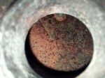 beb-143562 image