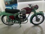 beb-97337 image