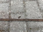 beb-99078 image