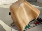 beb-99412 image