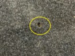 beb-99583 image