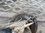 img_1598-1024-1722868077