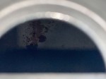 img_4934-1024-1725977594
