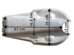 prestashop-1762 image