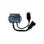 sgr-129021 image